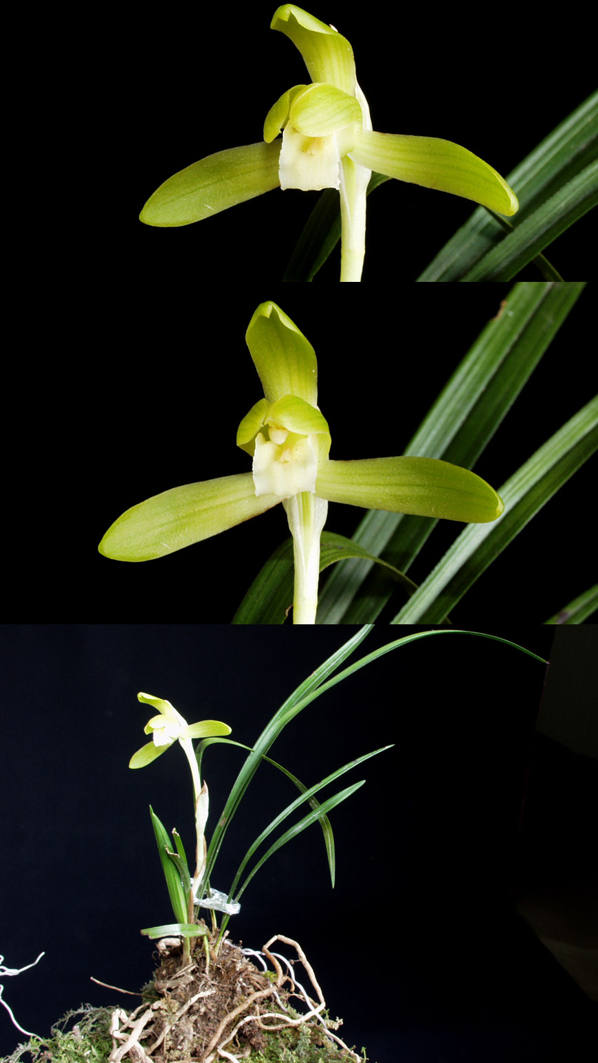 ������ ū������ �� �� �ֽ��ϴ�.