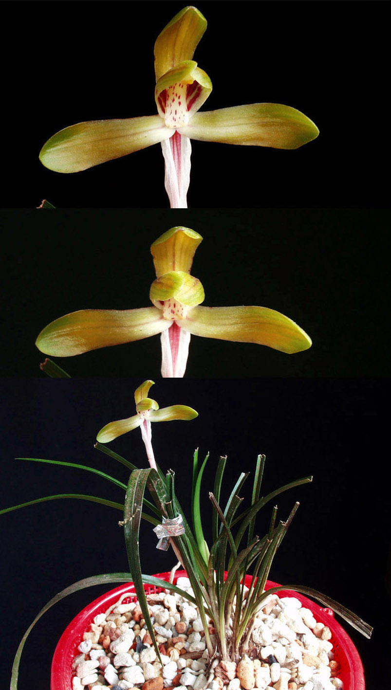 ������ ū������ �� �� �ֽ��ϴ�.