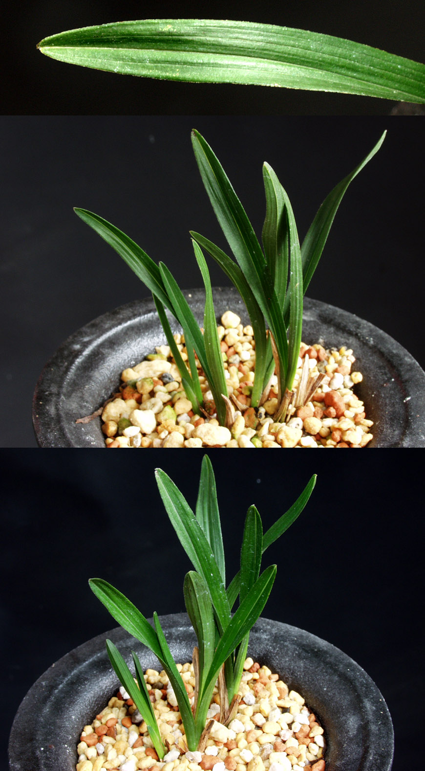 ������ ū������ �� �� �ֽ��ϴ�.