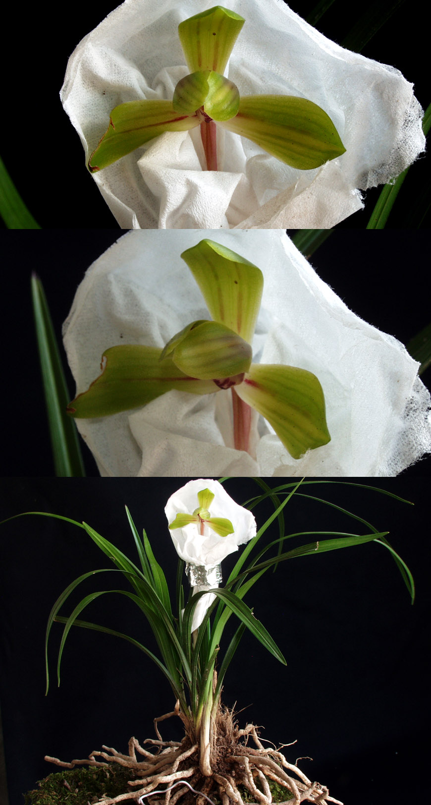 ������ ū������ �� �� �ֽ��ϴ�.