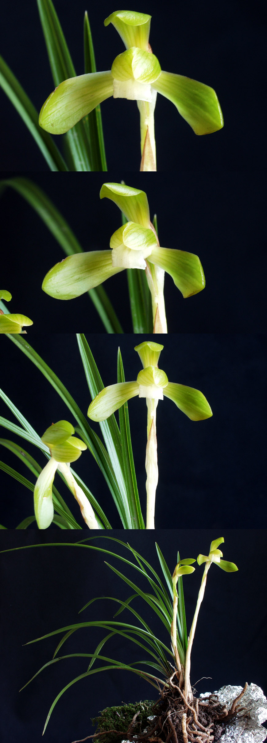 ������ ū������ �� �� �ֽ��ϴ�.