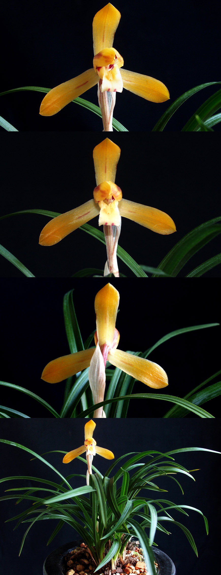 ������ ū������ �� �� �ֽ��ϴ�.