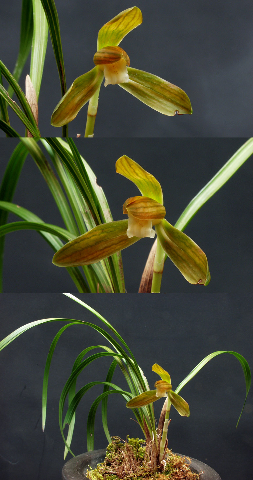 ������ ū������ �� �� �ֽ��ϴ�.