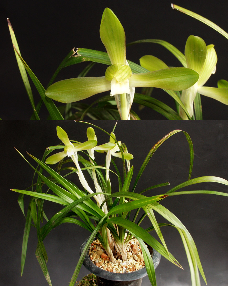 ������ ū������ �� �� �ֽ��ϴ�.