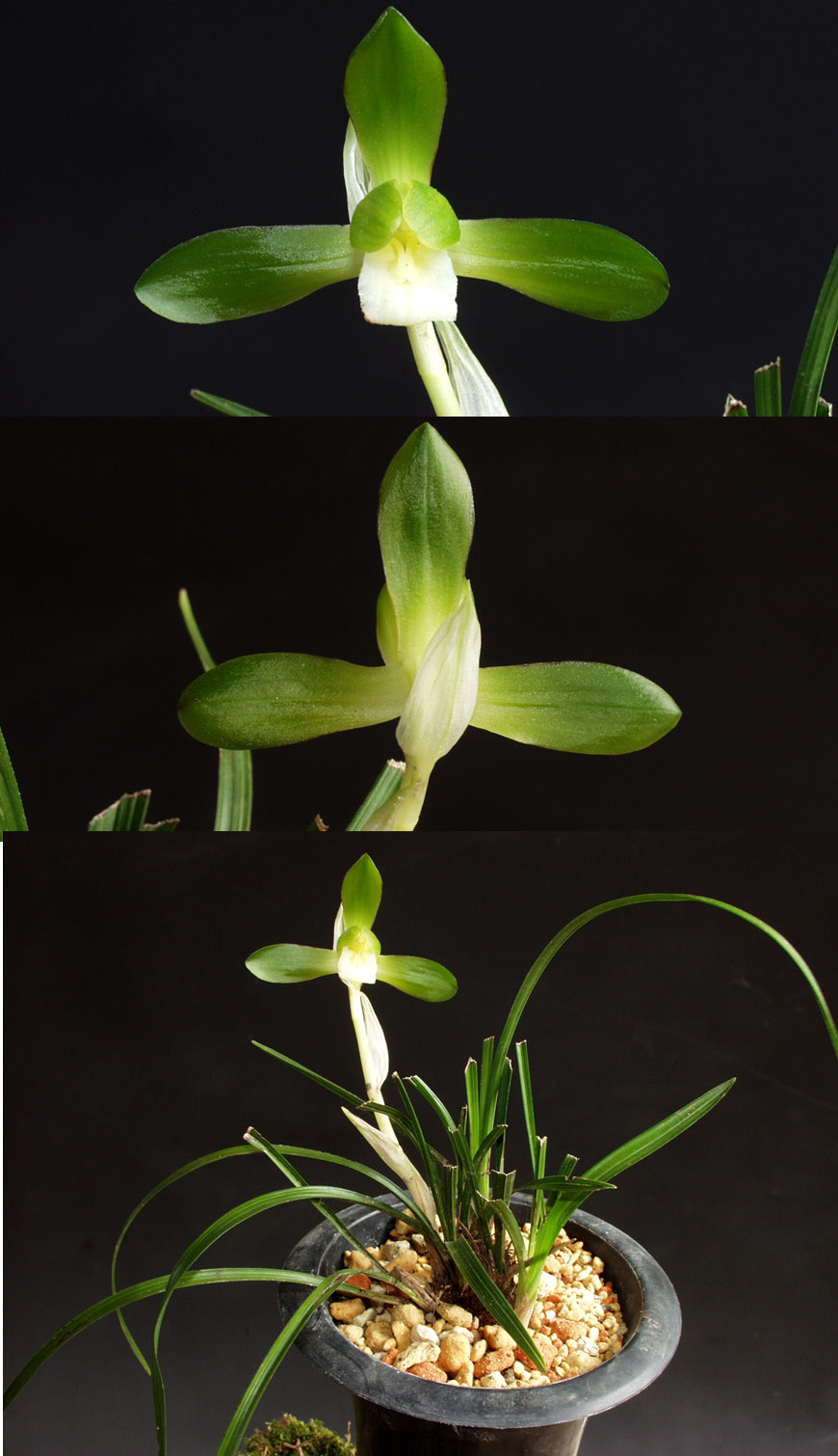 ������ ū������ �� �� �ֽ��ϴ�.