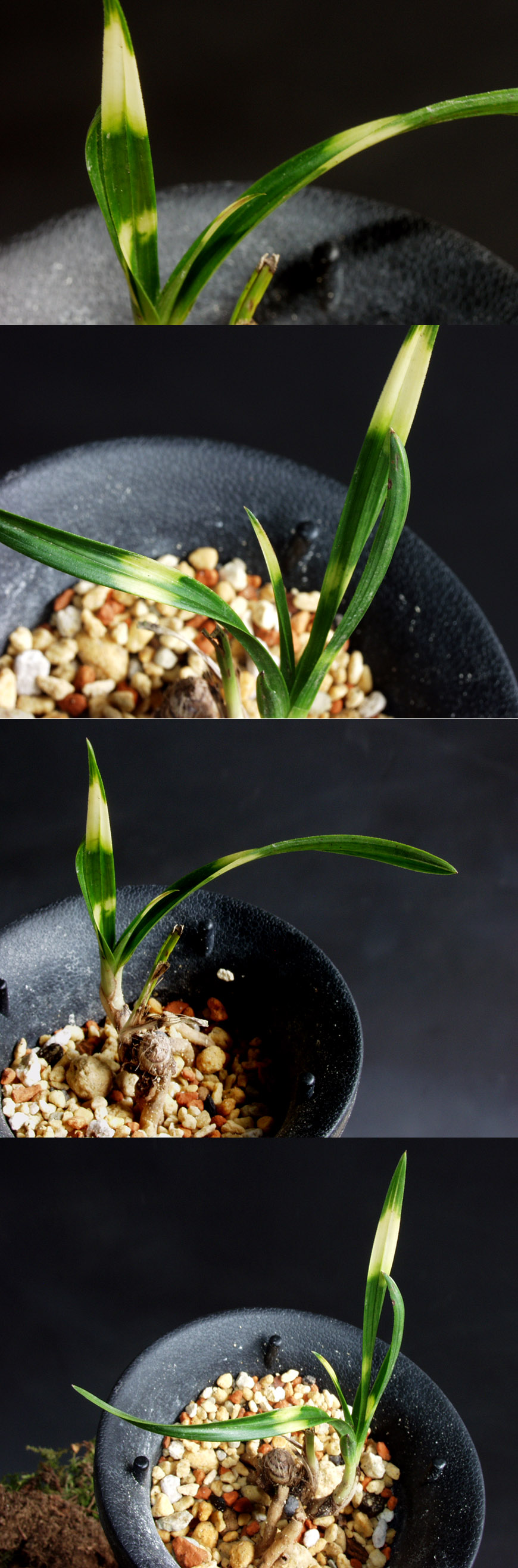 ������ ū������ �� �� �ֽ��ϴ�.