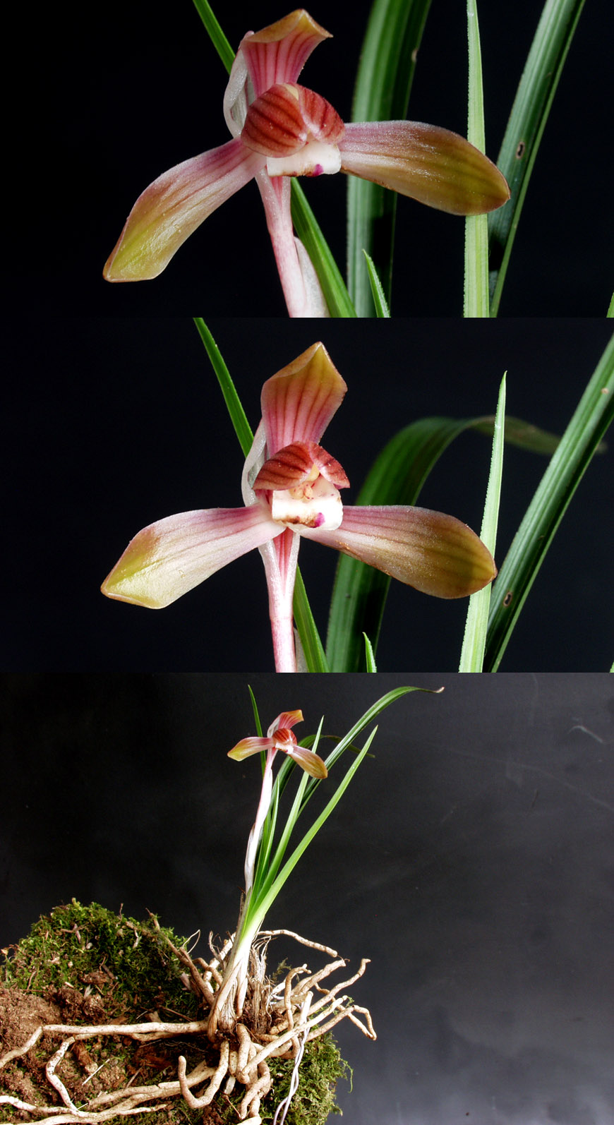 ������ ū������ �� �� �ֽ��ϴ�.