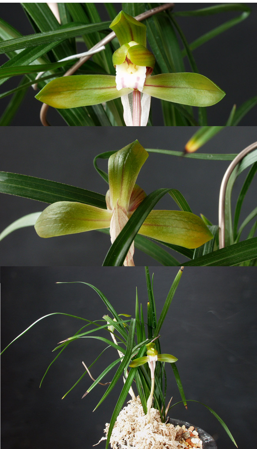 ������ ū������ �� �� �ֽ��ϴ�.