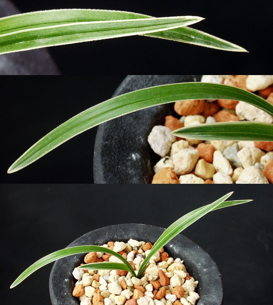 ������ ū������ �� �� �ֽ��ϴ�.