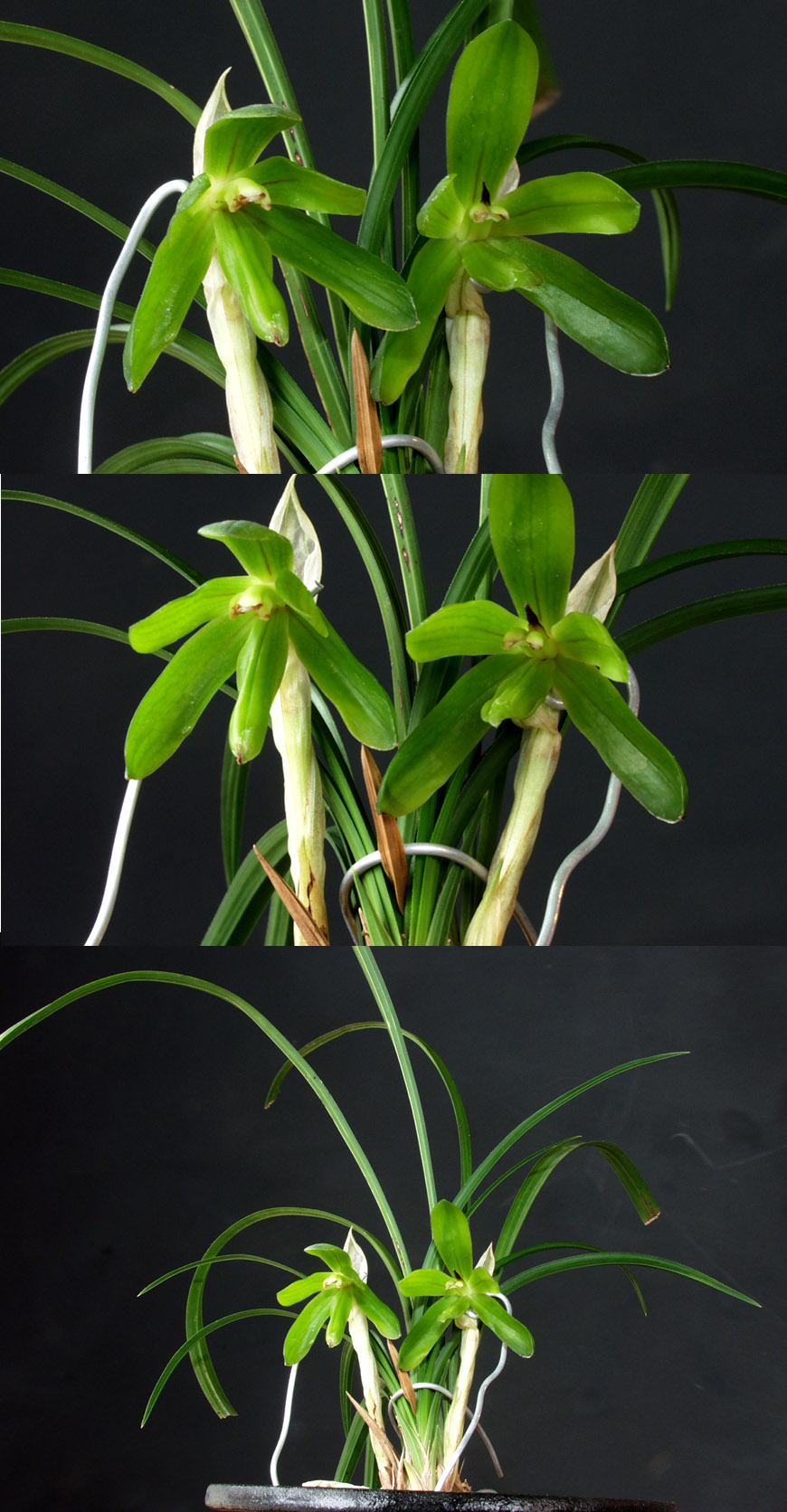 ������ ū������ �� �� �ֽ��ϴ�.