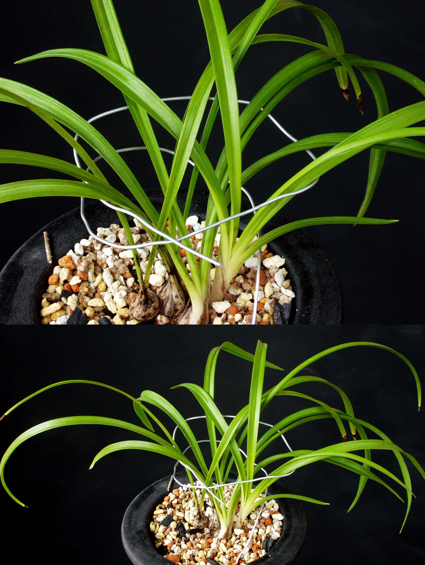 ������ ū������ �� �� �ֽ��ϴ�.