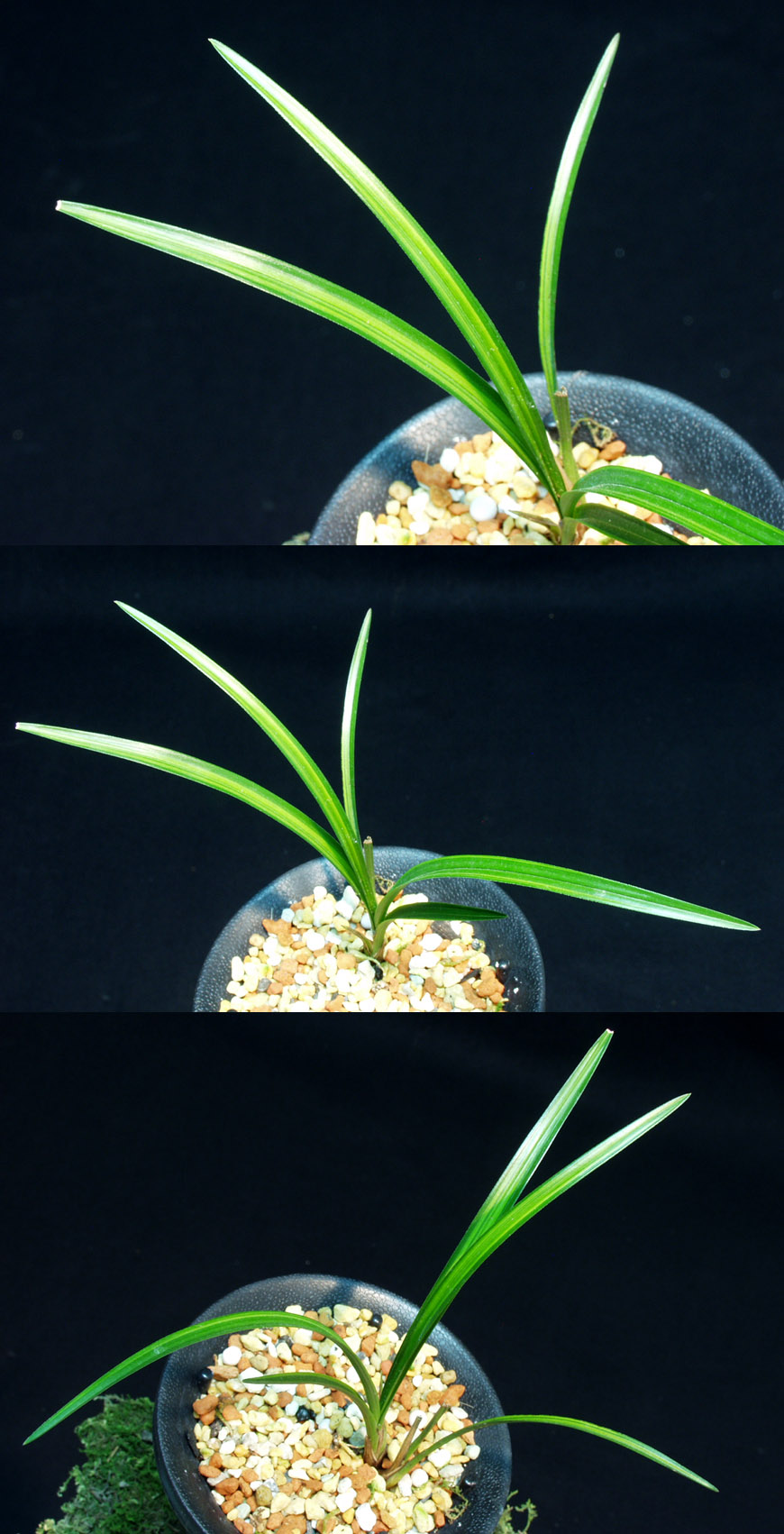 ������ ū������ �� �� �ֽ��ϴ�.