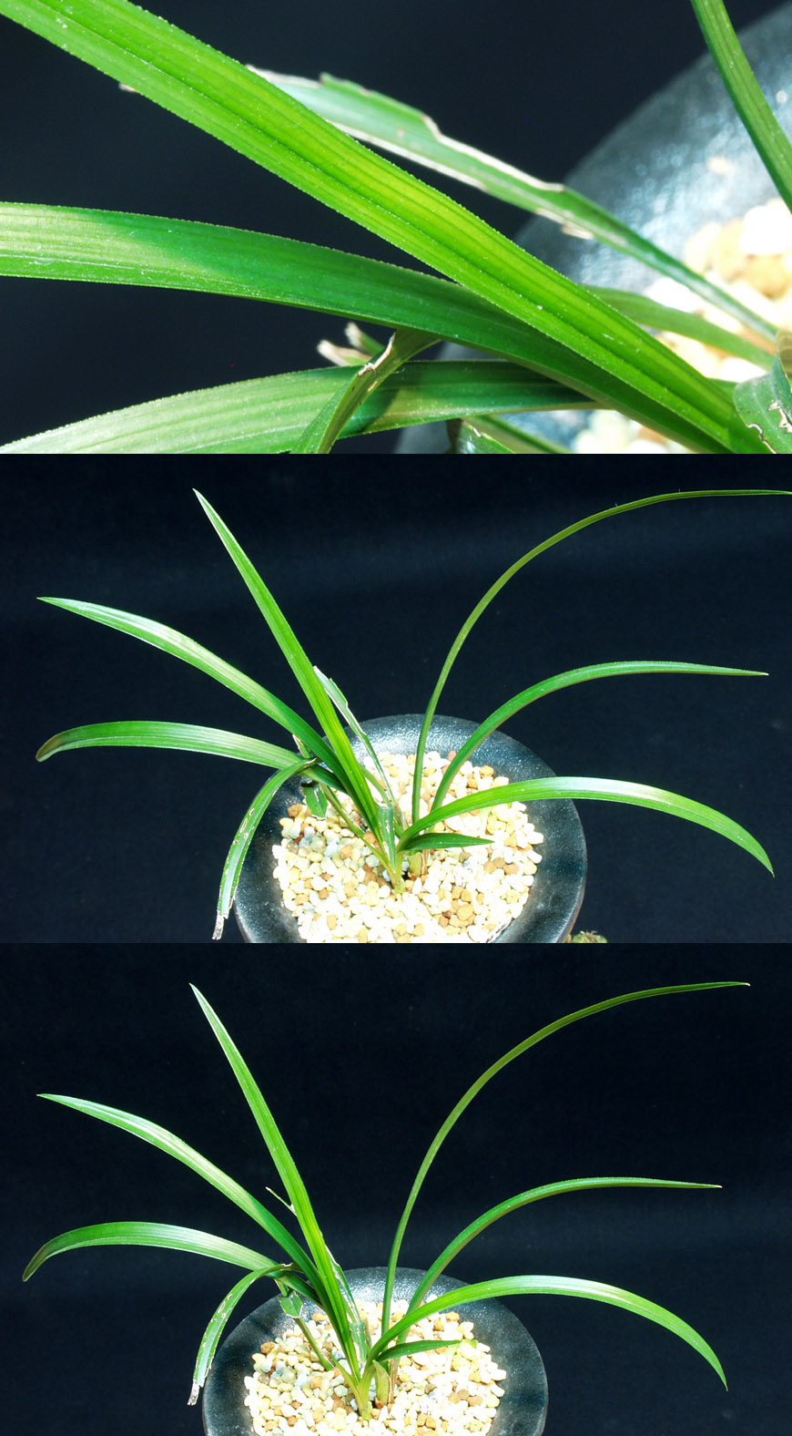 ������ ū������ �� �� �ֽ��ϴ�.