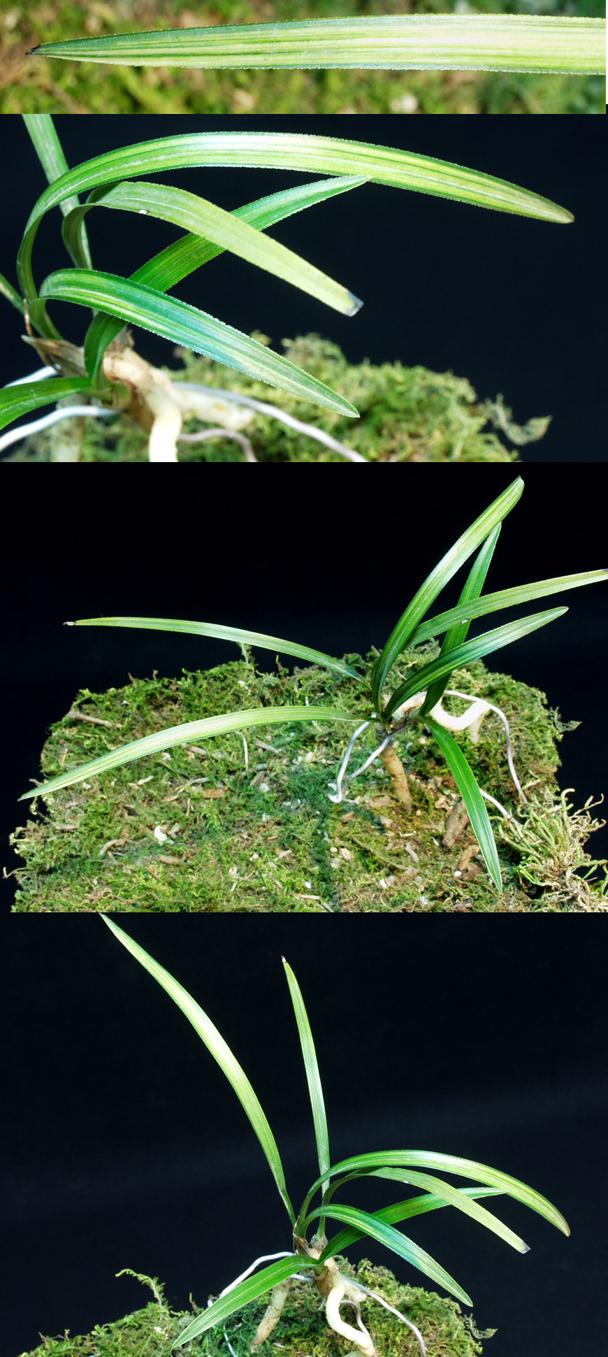 ������ ū������ �� �� �ֽ��ϴ�.