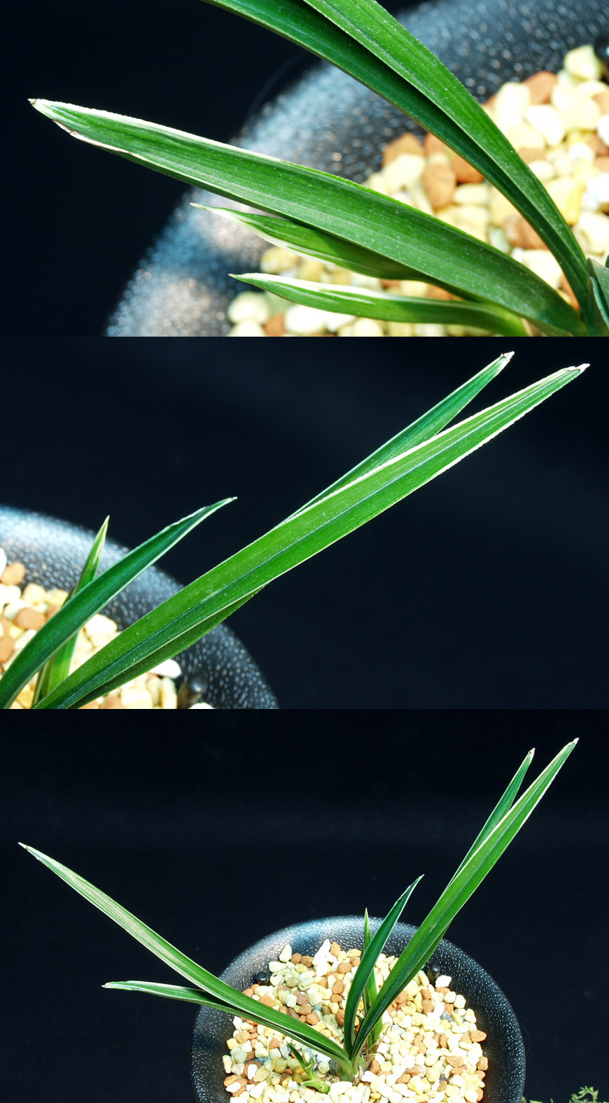 ������ ū������ �� �� �ֽ��ϴ�.