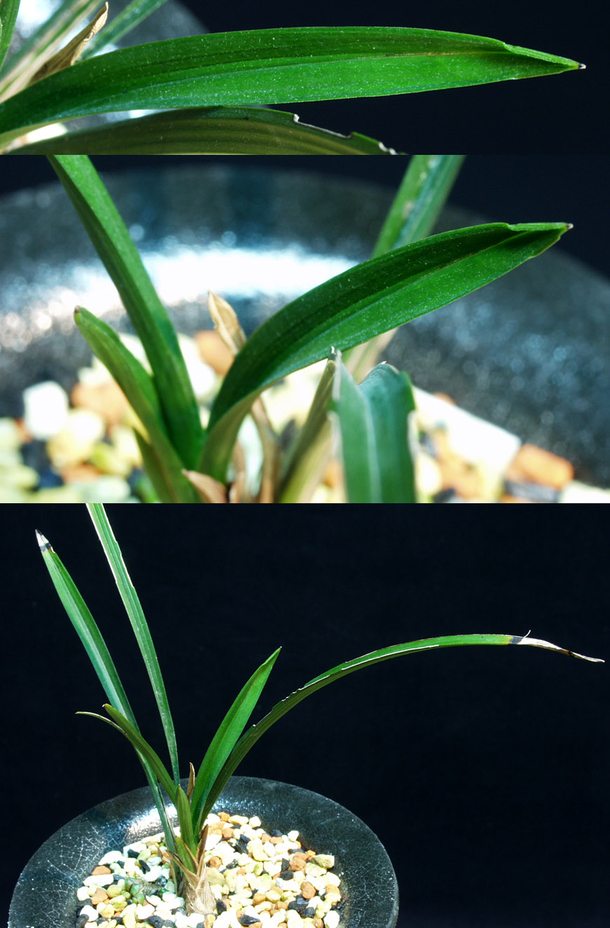 ������ ū������ �� �� �ֽ��ϴ�.