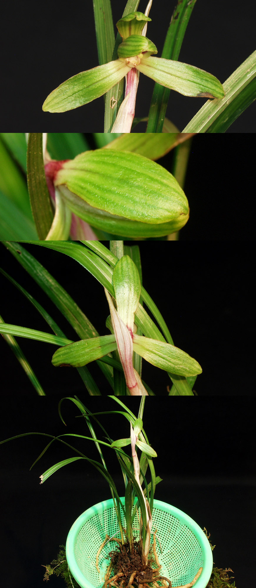 ������ ū������ �� �� �ֽ��ϴ�.