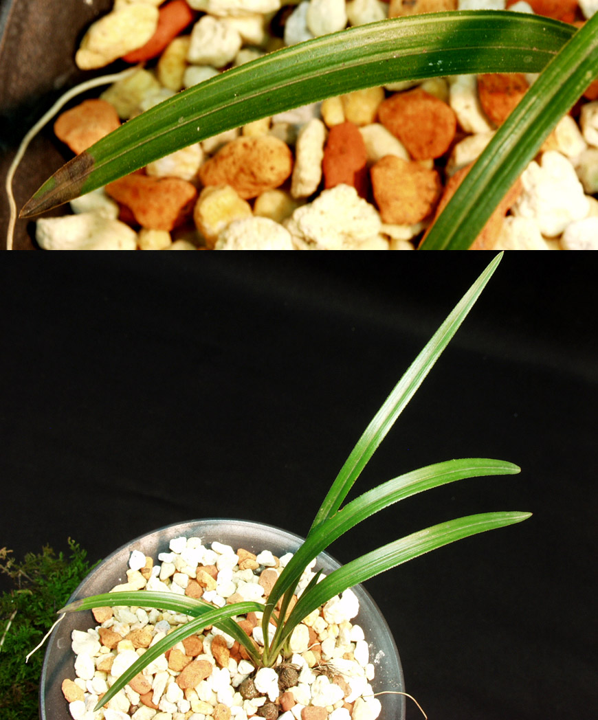 ������ ū������ �� �� �ֽ��ϴ�.