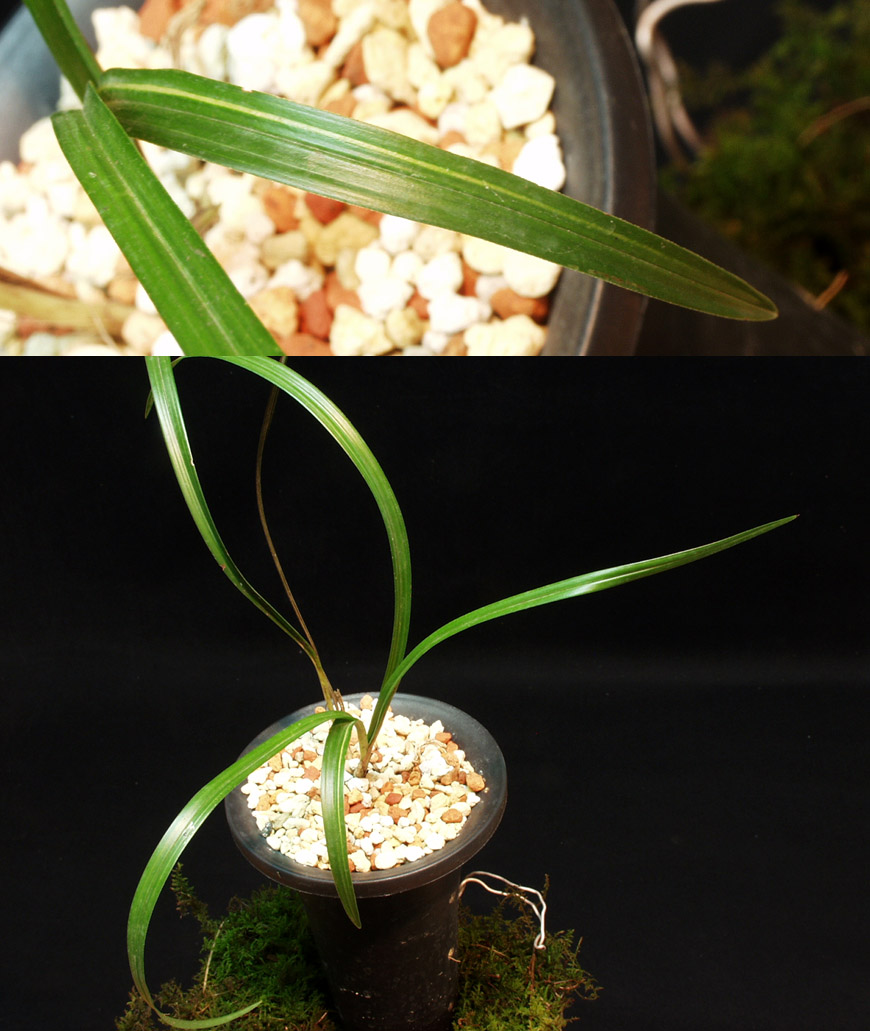 ������ ū������ �� �� �ֽ��ϴ�.