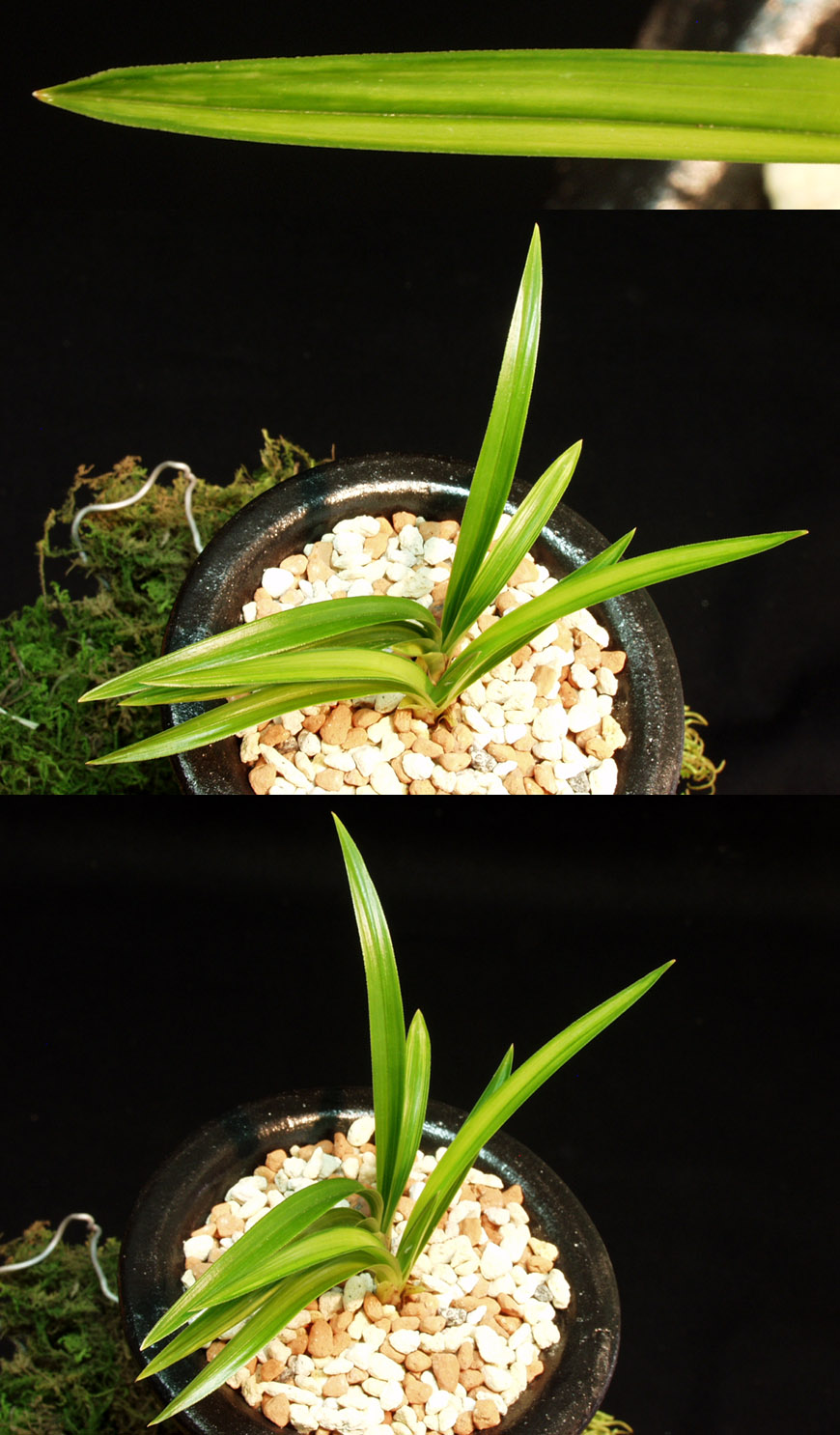 ������ ū������ �� �� �ֽ��ϴ�.