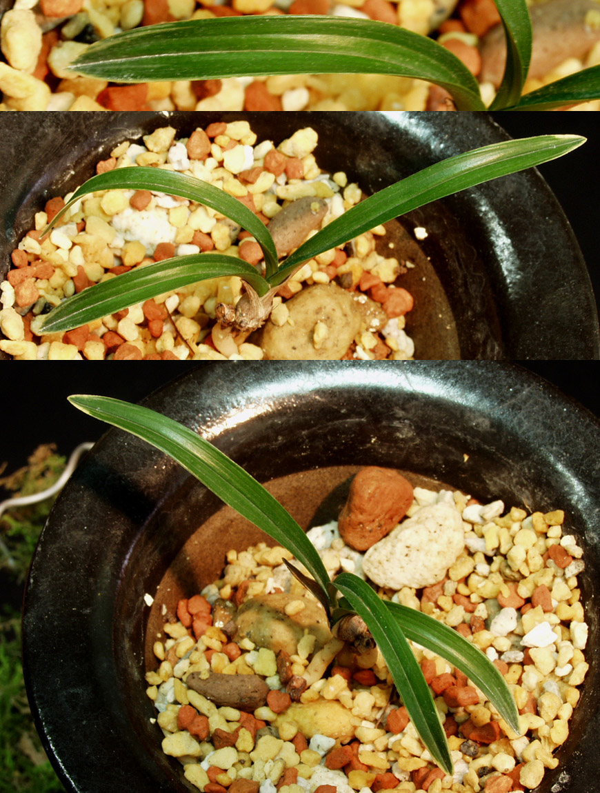 ������ ū������ �� �� �ֽ��ϴ�.