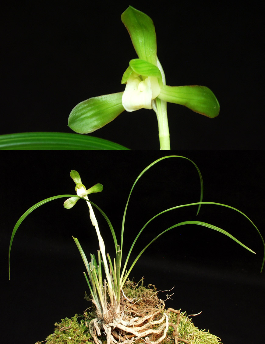 ������ ū������ �� �� �ֽ��ϴ�.