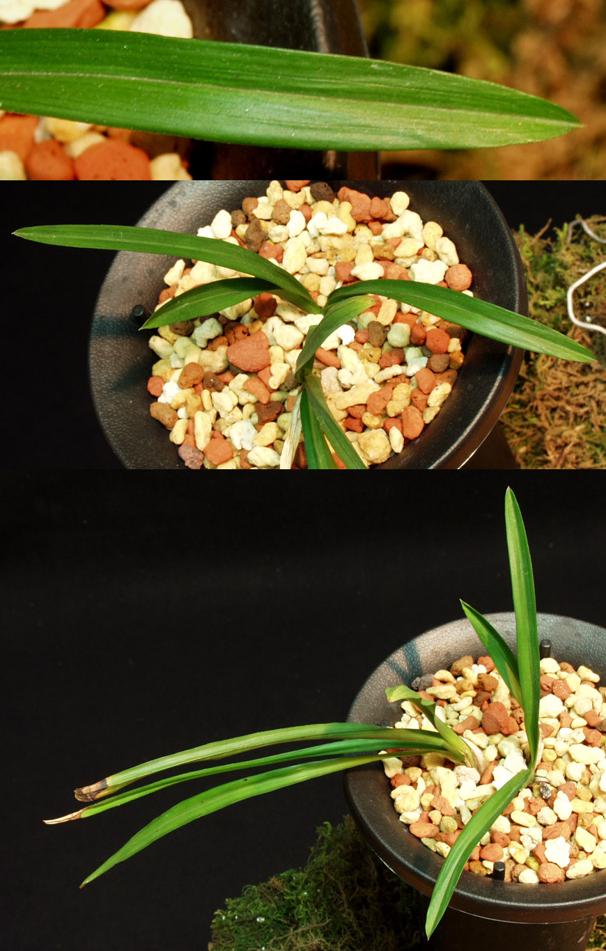 ������ ū������ �� �� �ֽ��ϴ�.