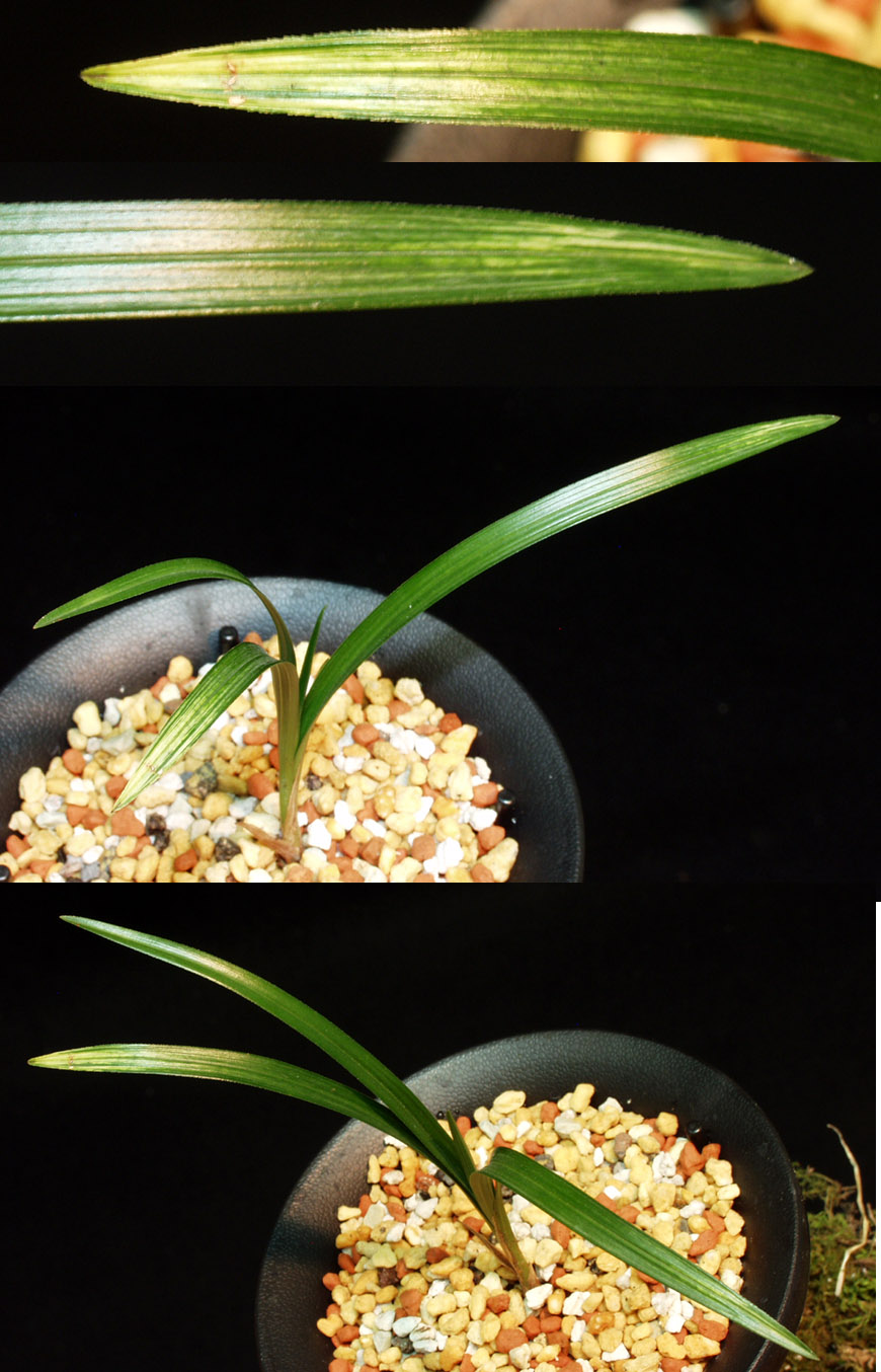 ������ ū������ �� �� �ֽ��ϴ�.