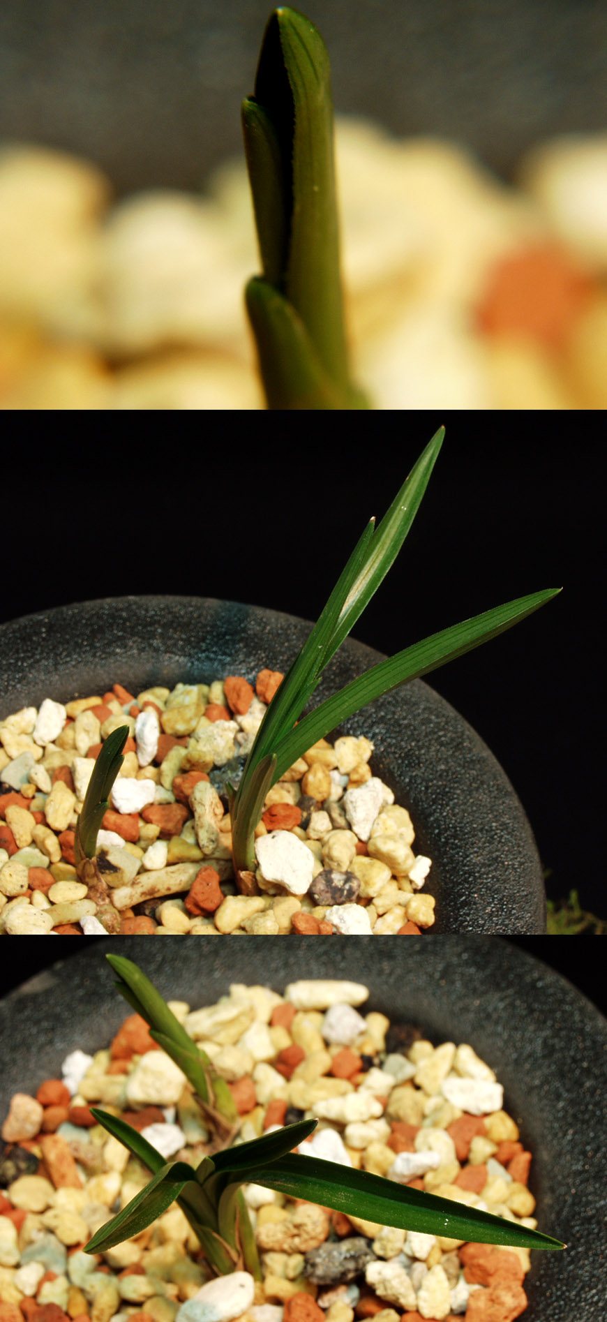 ������ ū������ �� �� �ֽ��ϴ�.