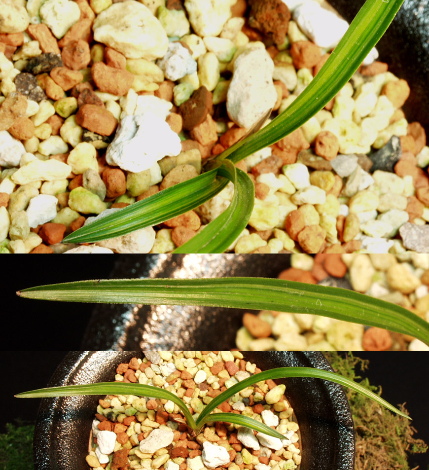 ������ ū������ �� �� �ֽ��ϴ�.