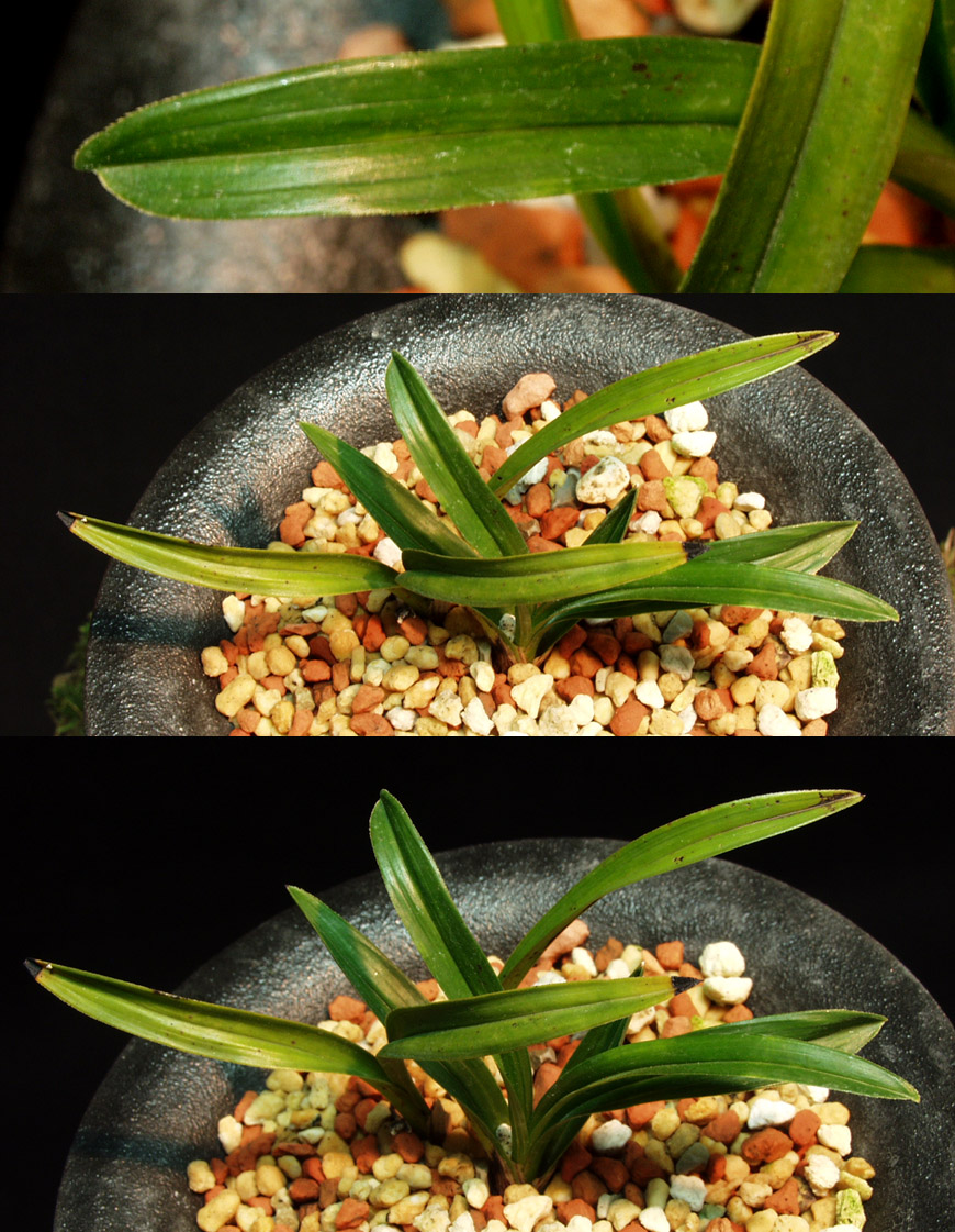 ������ ū������ �� �� �ֽ��ϴ�.