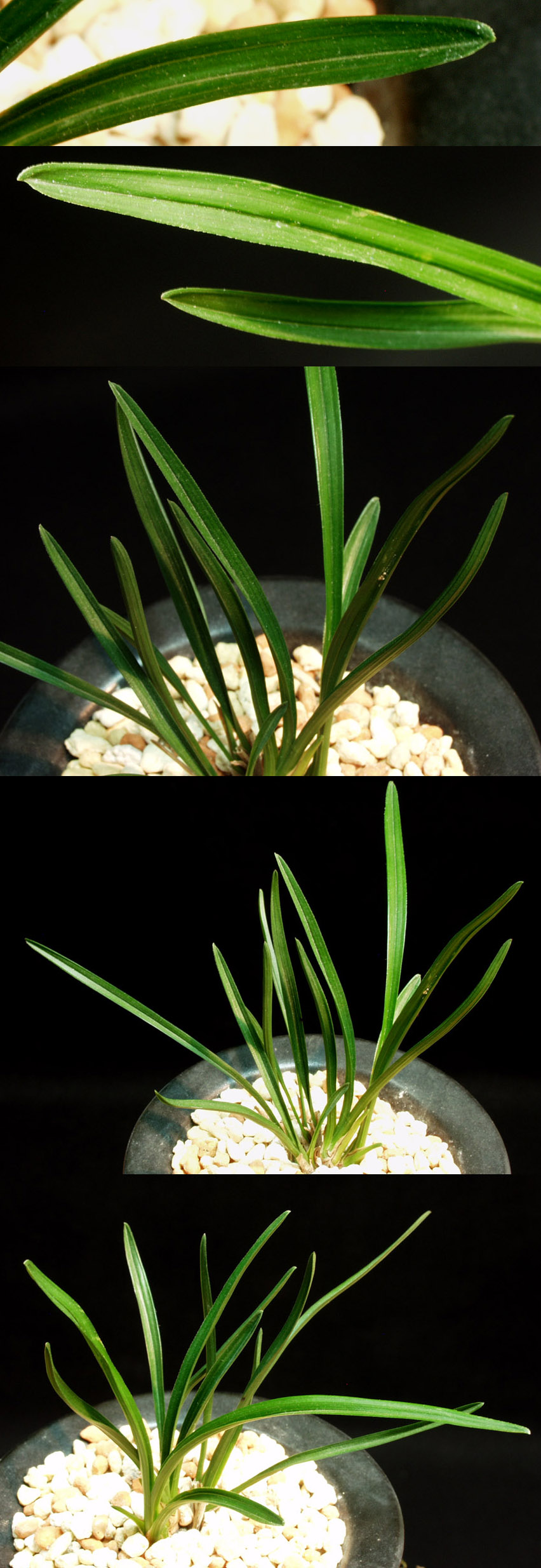 ������ ū������ �� �� �ֽ��ϴ�.