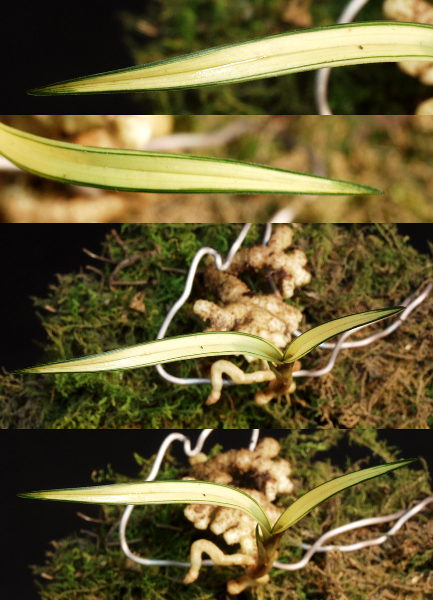 ������ ū������ �� �� �ֽ��ϴ�.