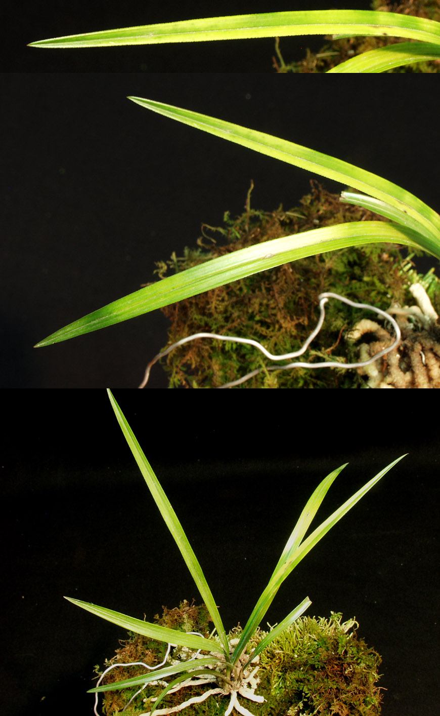 ������ ū������ �� �� �ֽ��ϴ�.