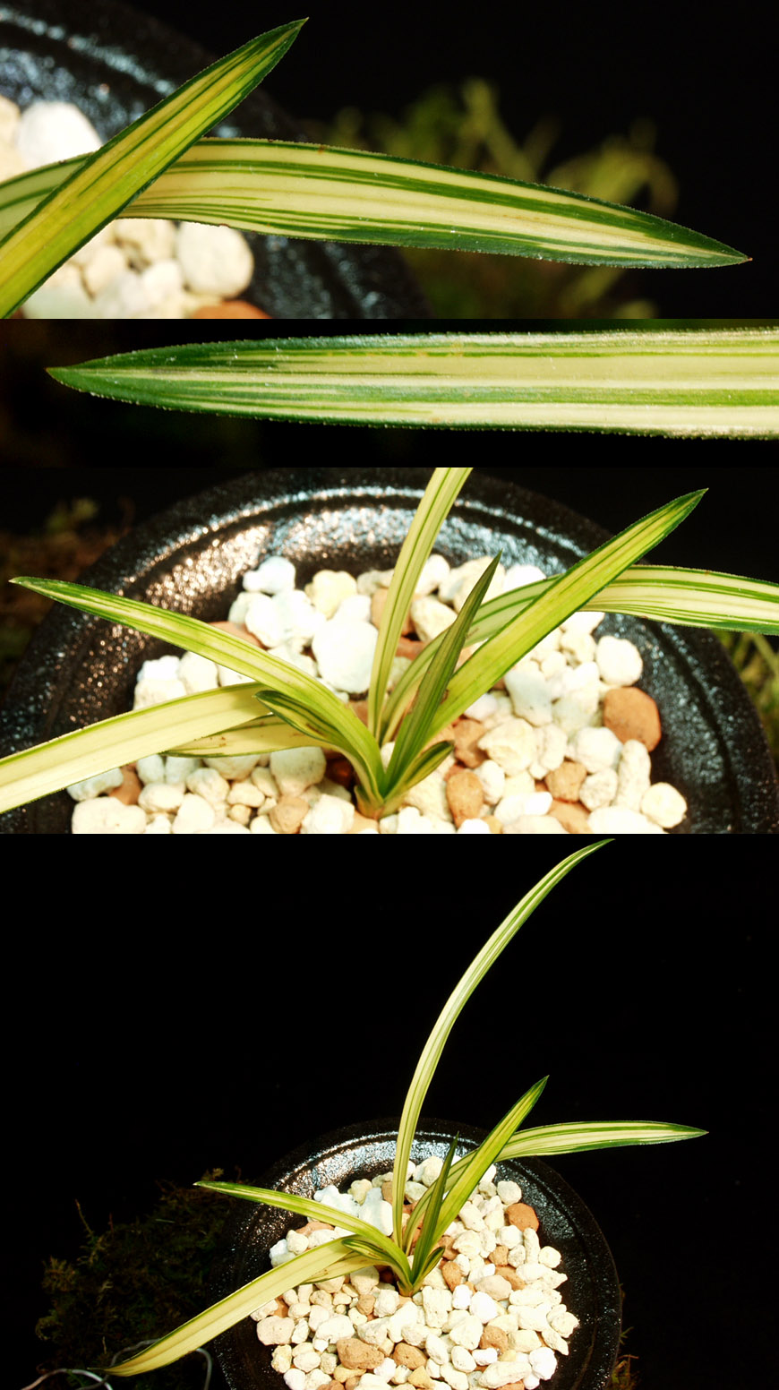 ������ ū������ �� �� �ֽ��ϴ�.