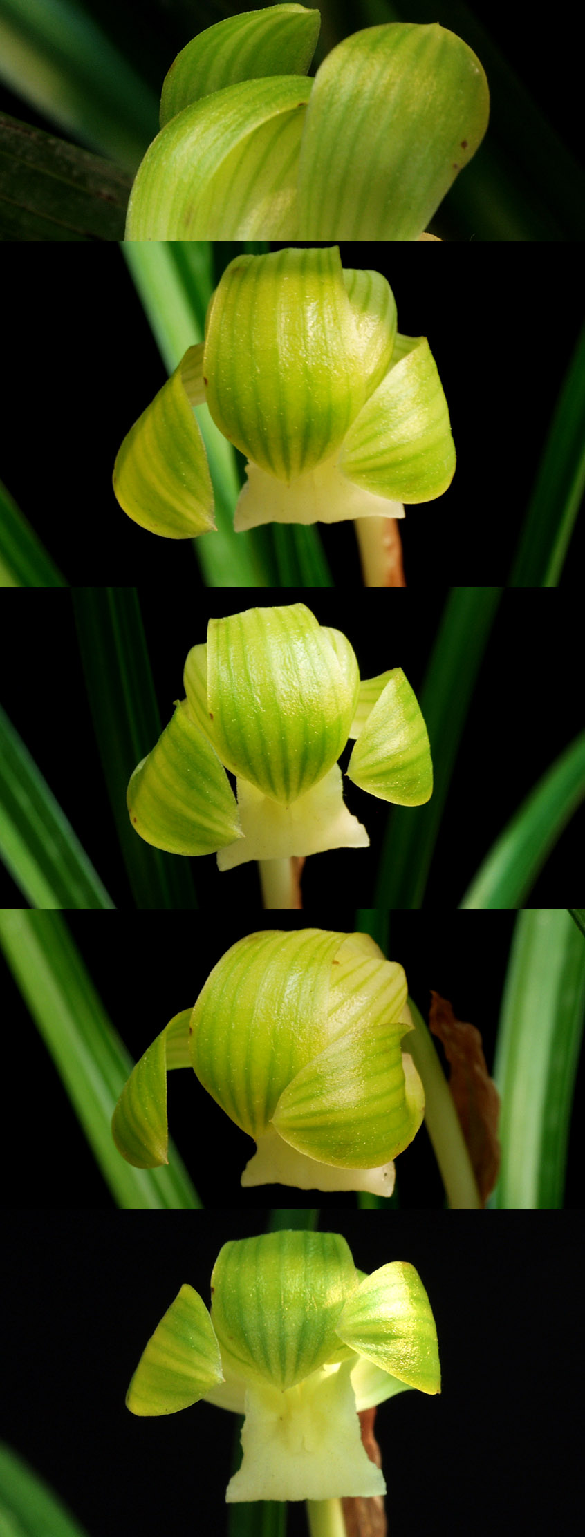 ������ ū������ �� �� �ֽ��ϴ�.