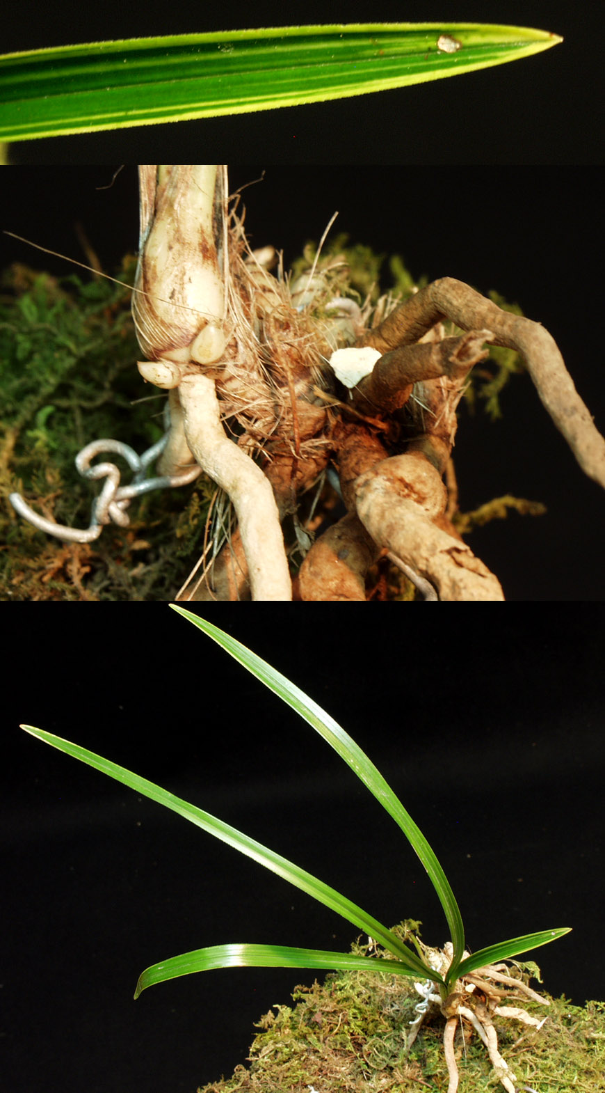 ������ ū������ �� �� �ֽ��ϴ�.