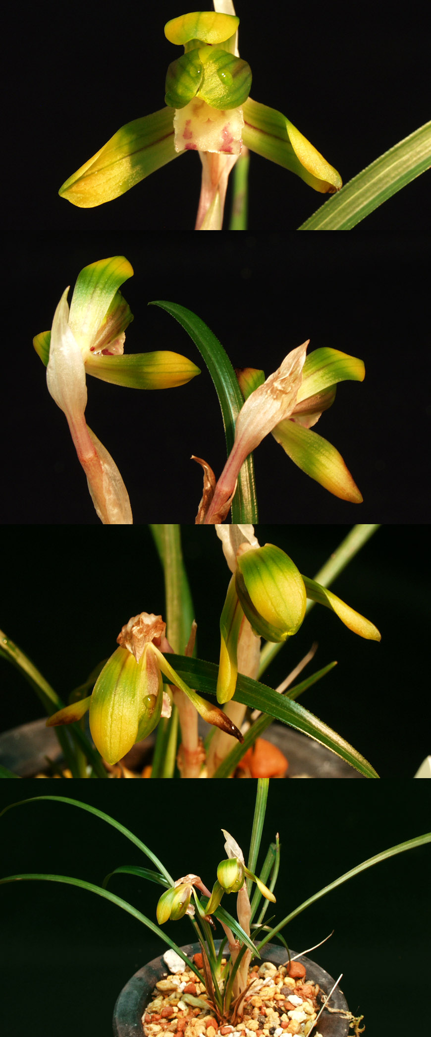 ������ ū������ �� �� �ֽ��ϴ�.