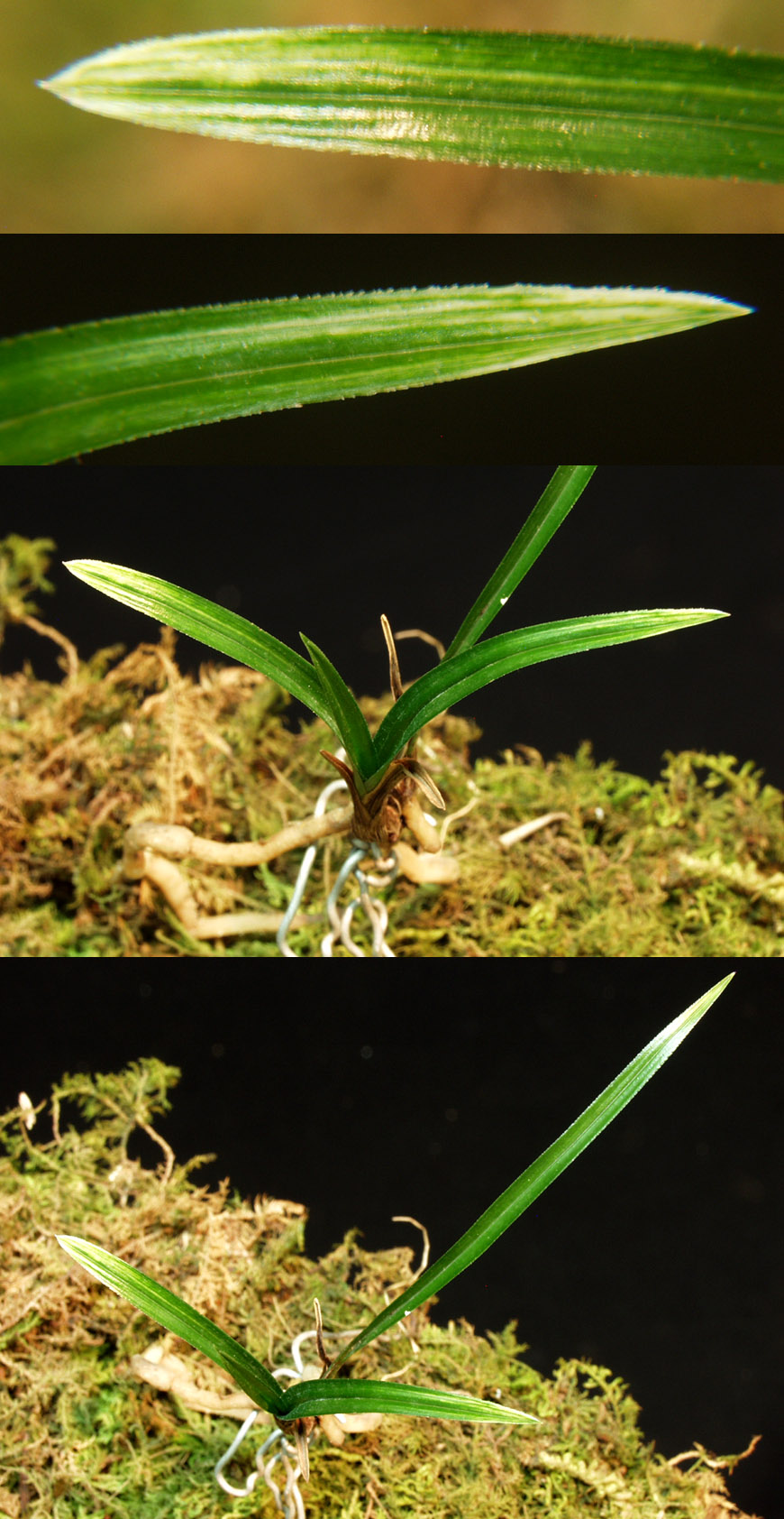 ������ ū������ �� �� �ֽ��ϴ�.