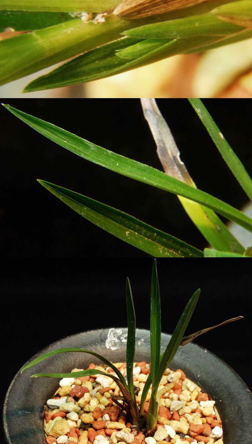 ������ ū������ �� �� �ֽ��ϴ�.