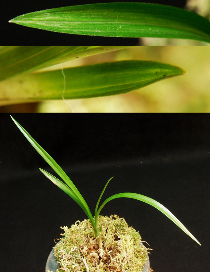 ������ ū������ �� �� �ֽ��ϴ�.