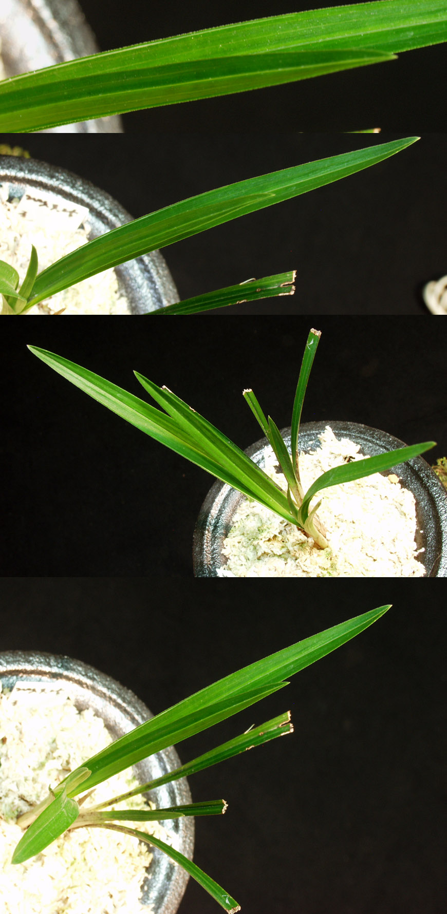 ������ ū������ �� �� �ֽ��ϴ�.