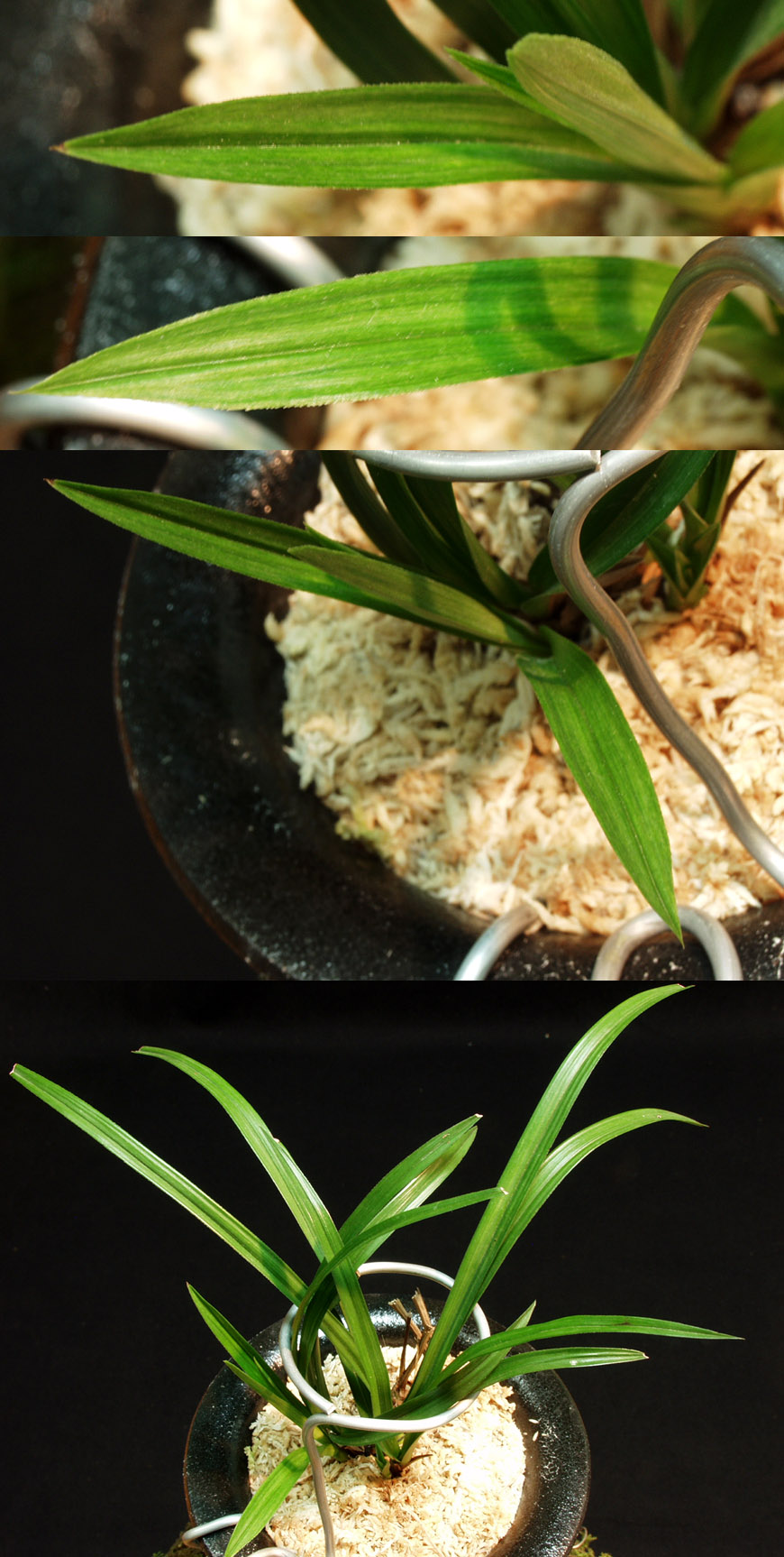 ������ ū������ �� �� �ֽ��ϴ�.