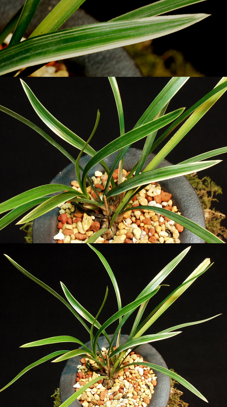 ������ ū������ �� �� �ֽ��ϴ�.