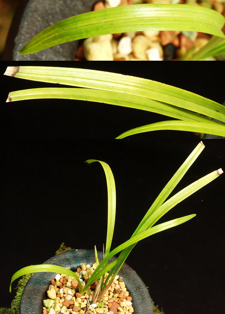 ������ ū������ �� �� �ֽ��ϴ�.