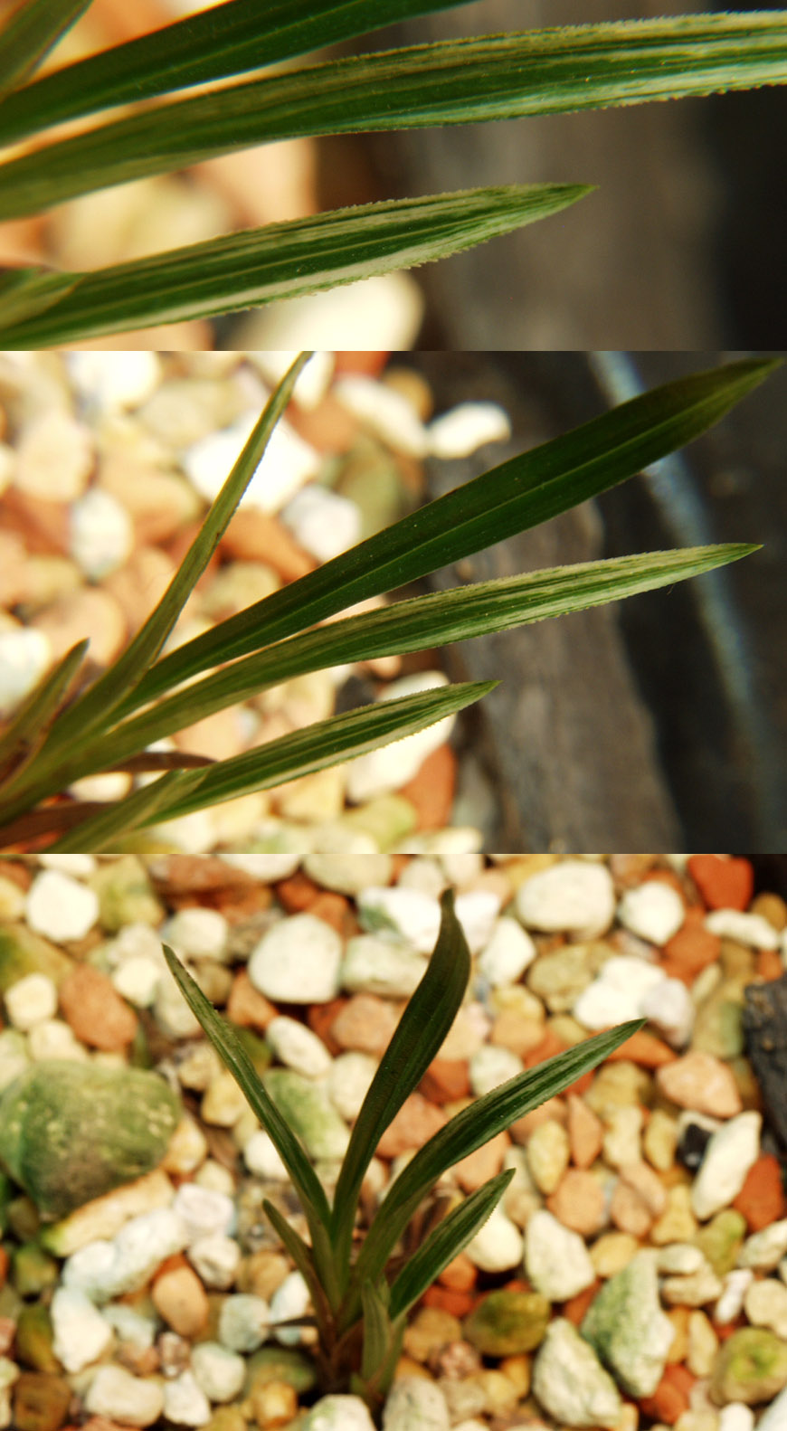 ������ ū������ �� �� �ֽ��ϴ�.