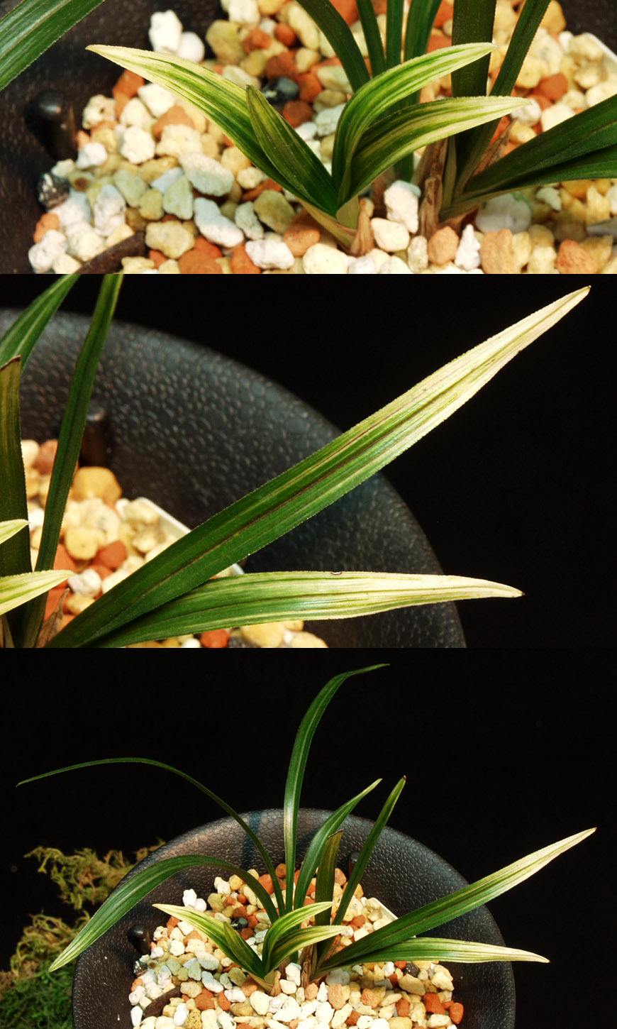 ������ ū������ �� �� �ֽ��ϴ�.