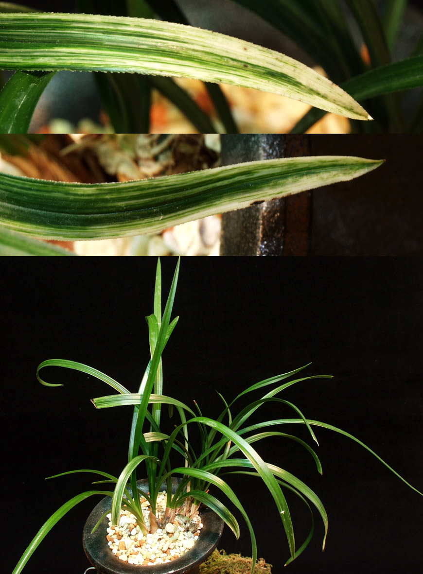 ������ ū������ �� �� �ֽ��ϴ�.