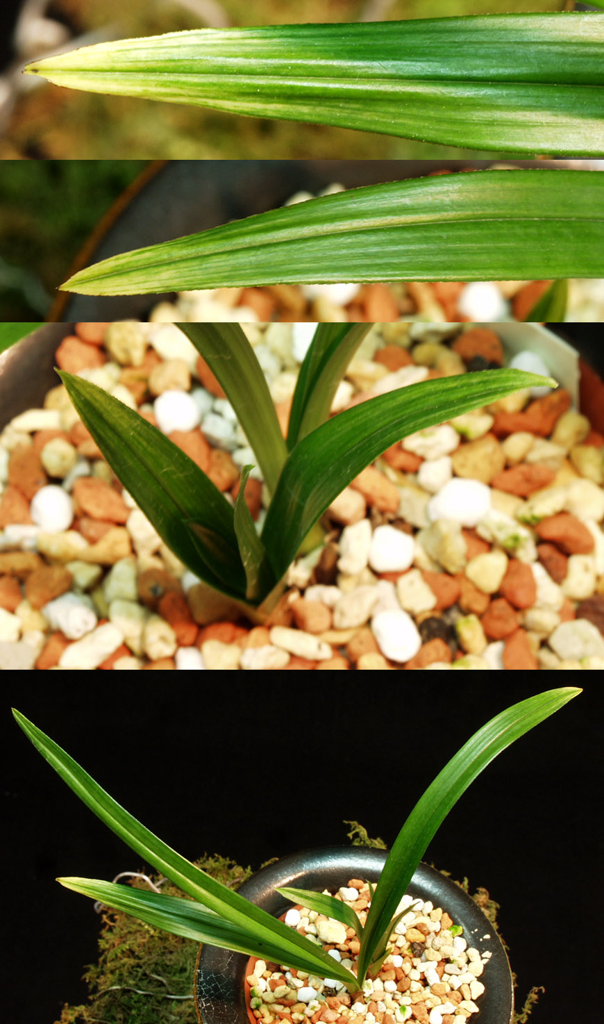 ������ ū������ �� �� �ֽ��ϴ�.