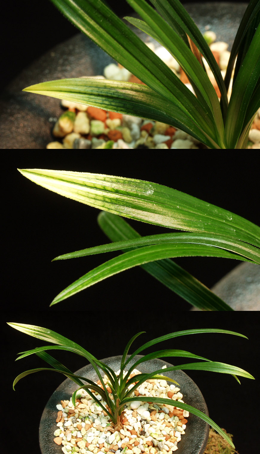 ������ ū������ �� �� �ֽ��ϴ�.